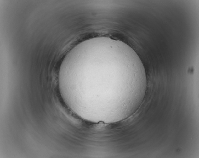 X0000112740136200909101525