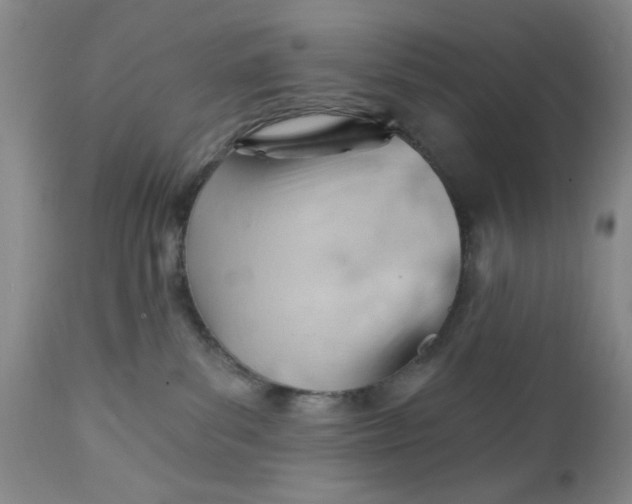 X0000112740139200909101525