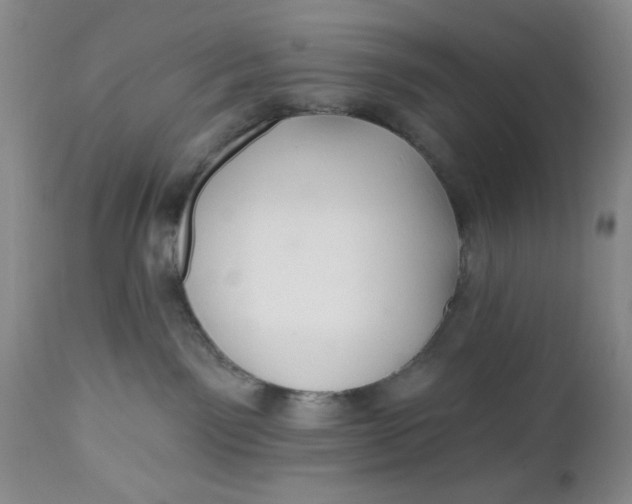 X0000112740141200909101525