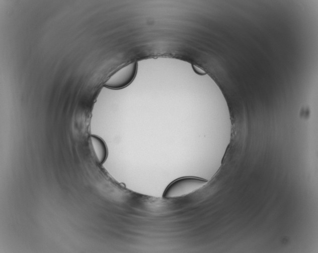 X0000112740142200909101525