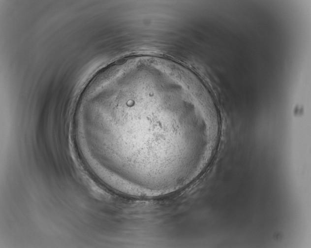 X0000112740145200909101524