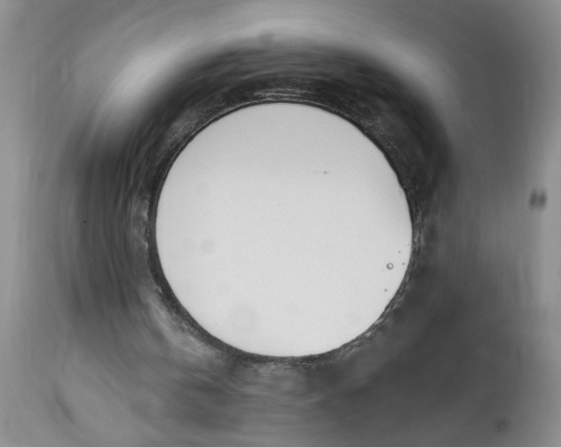 X0000112740146200909101524