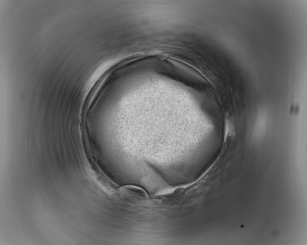 X0000112740147200909101524