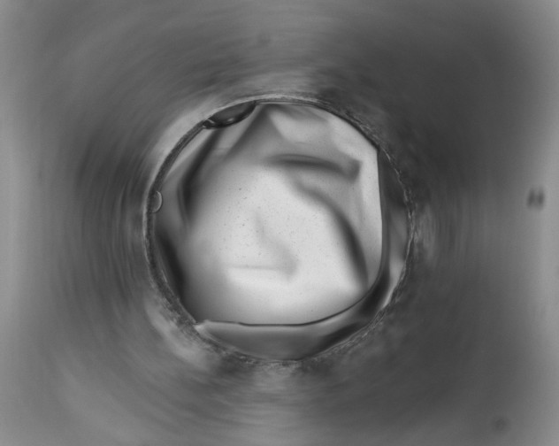 X0000112740148200909101524