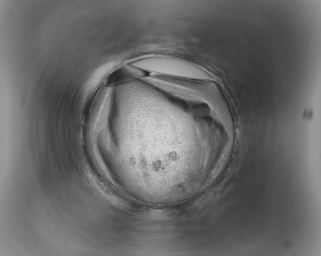 X0000112740149200909101524