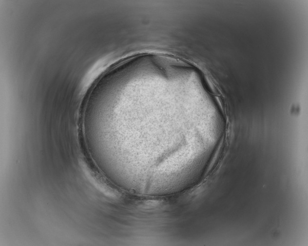 X0000112740151200909101524