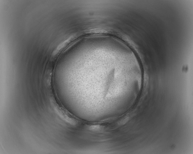 X0000112740153200909101524