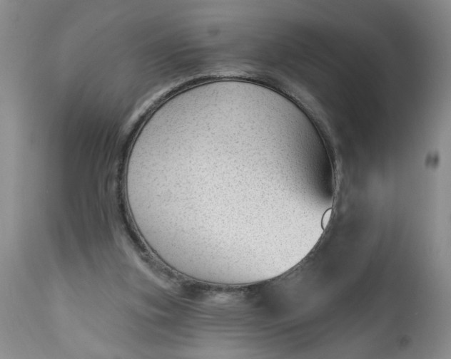 X0000112740155200909101524