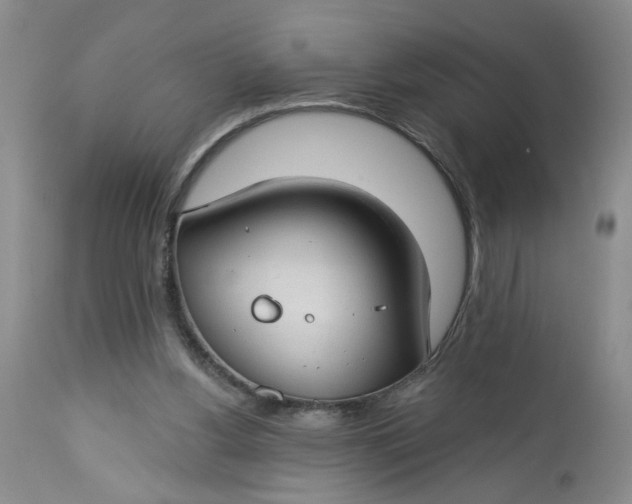 X0000112740156200909101524