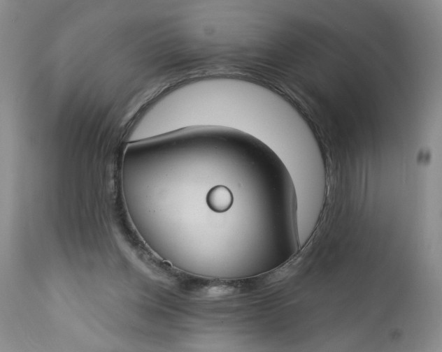 X0000112740158200909101524