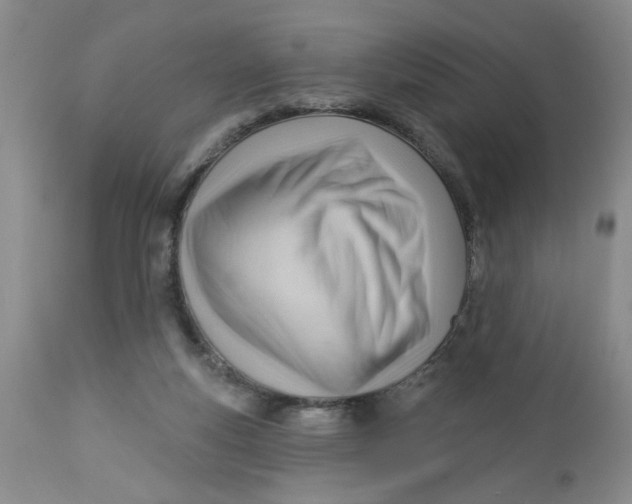 X0000112740163200909101524