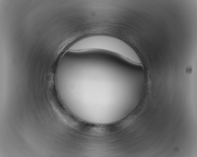 X0000112740164200909101524