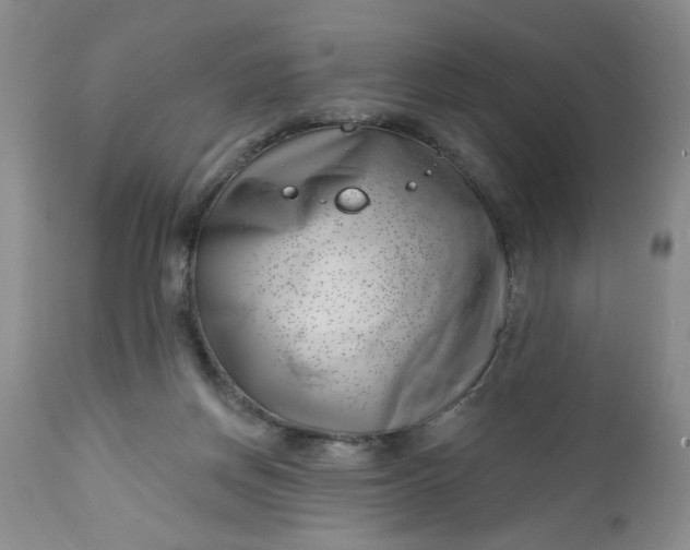 X0000112740166200909101524