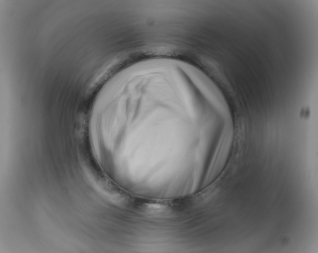 X0000112740167200909101524