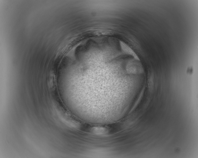 X0000112740169200909101524