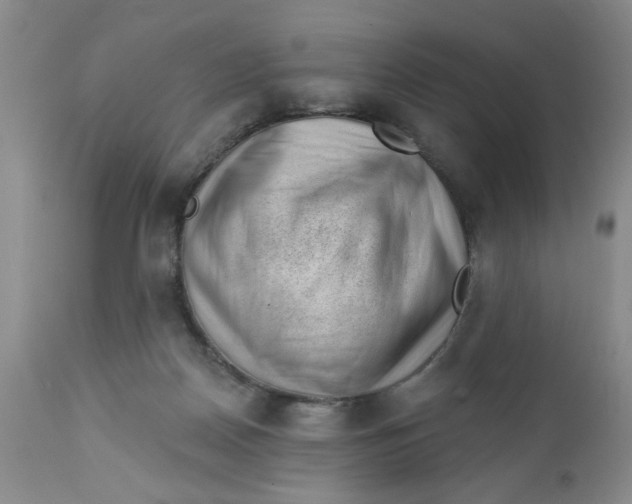 X0000112740170200909101524