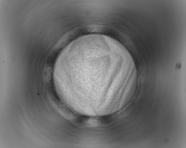 X0000112740171200909101524