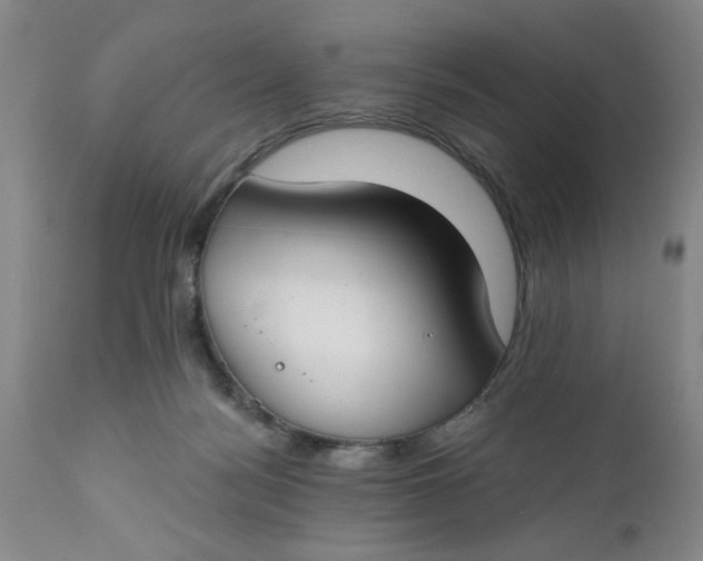 X0000112740172200909101524