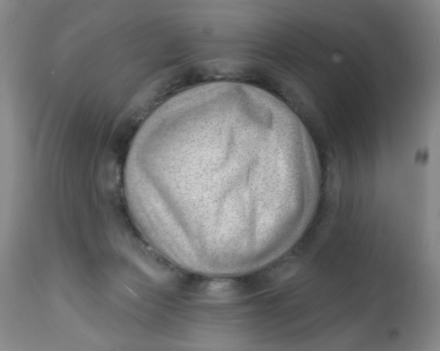 X0000112740173200909101524