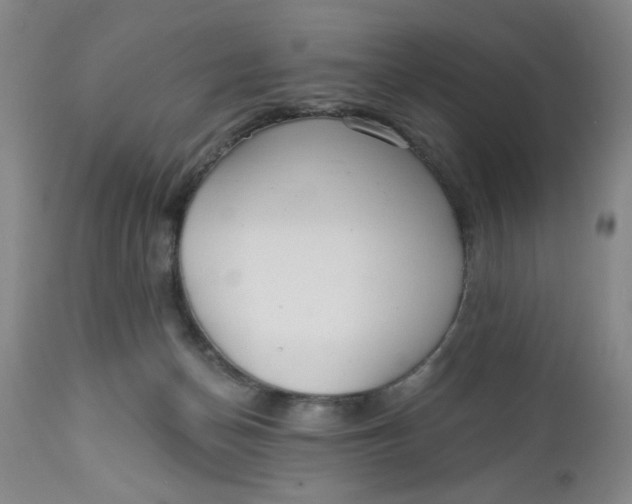 X0000112740174200909101524