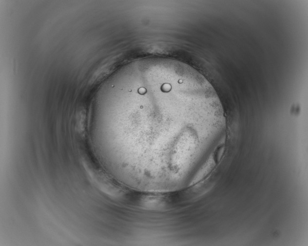 X0000112740175200909101524