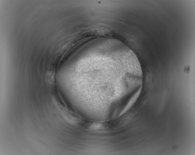 X0000112740177200909101525