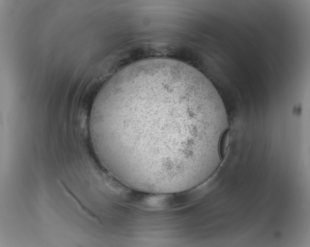 X0000112740178200909101525