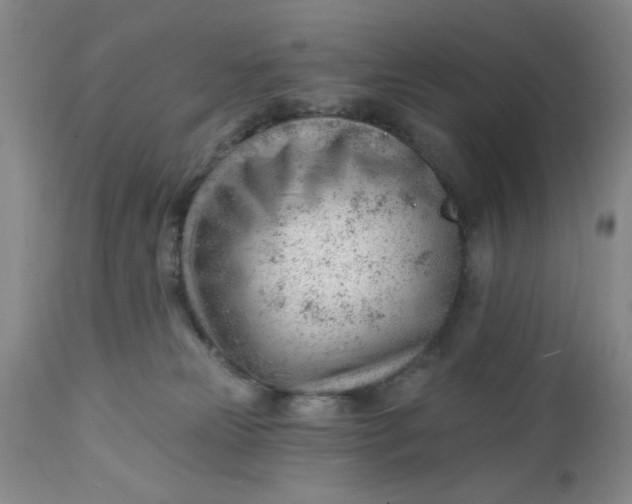 X0000112740181200909101525