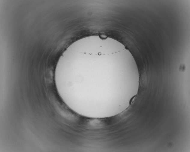 X0000112740183200909101525