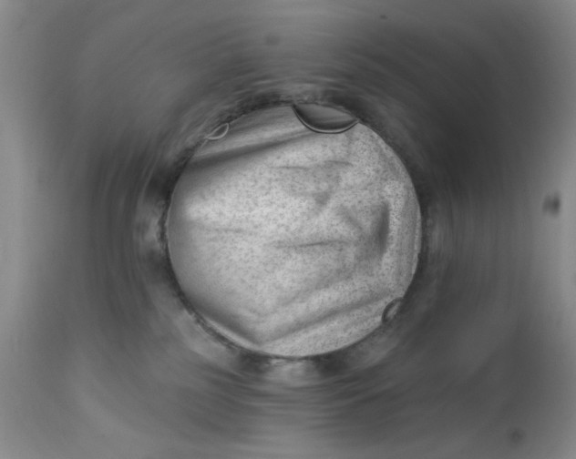 X0000112740185200909101525