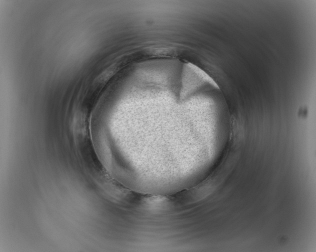 X0000112740189200909101525