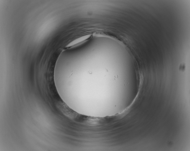 X0000112740190200909101525