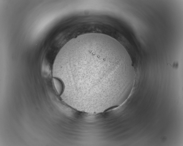 X0000112740191200909101525