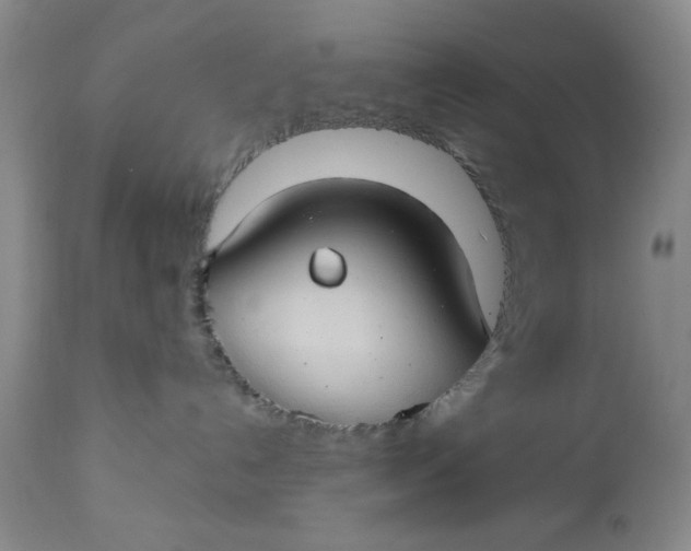 X0000112740192200909101525