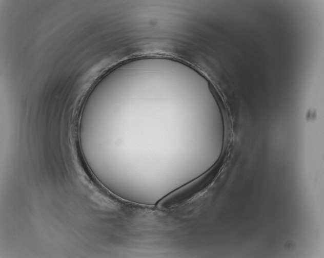 X0000112740193200909101524