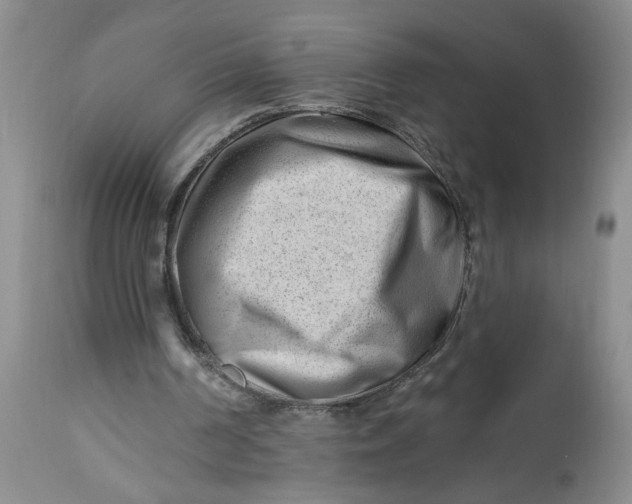 X0000112740194200909101524