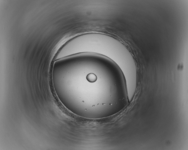 X0000112740195200909101524