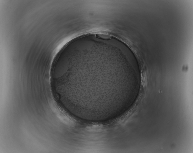 X0000112740196200909101524