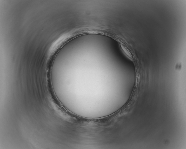 X0000112740197200909101524