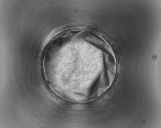 X0000112740198200909101524