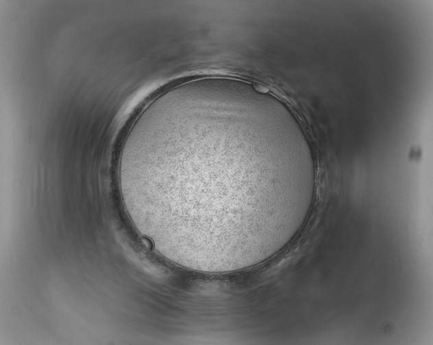 X0000112740200200909101524