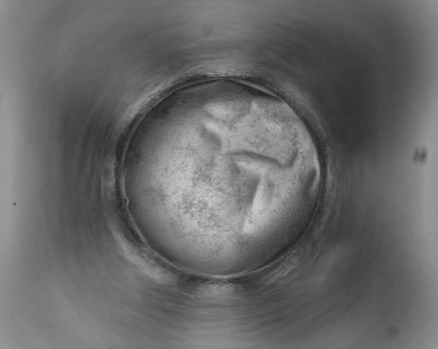 X0000112740202200909101524