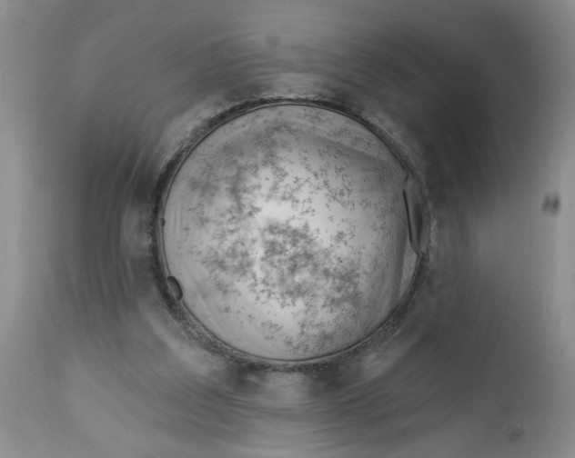 X0000112740203200909101524