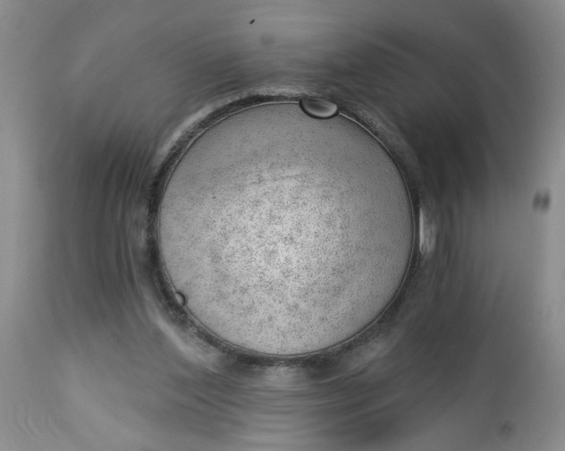 X0000112740204200909101524