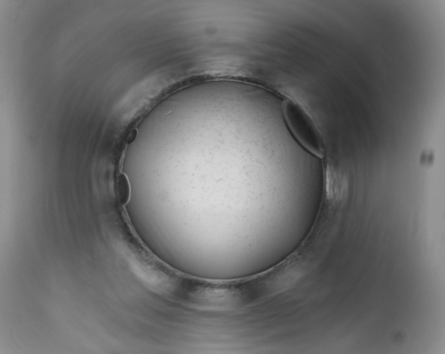 X0000112740205200909101524