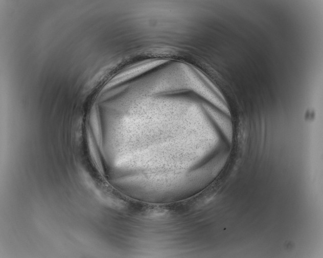 X0000112740206200909101524