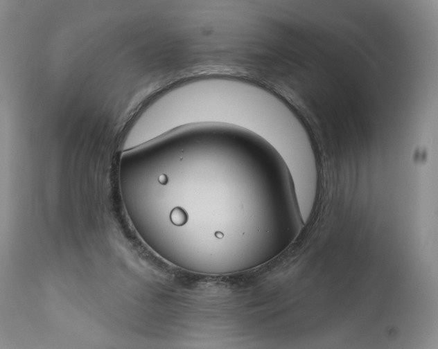 X0000112740207200909101524