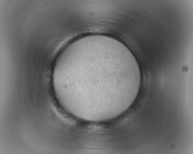 X0000112740208200909101524