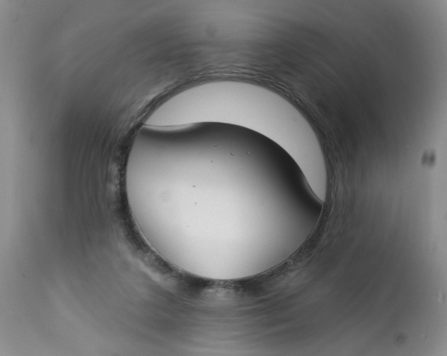 X0000112740211200909101523