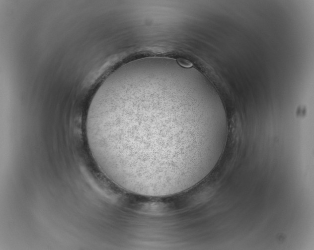 X0000112740212200909101523